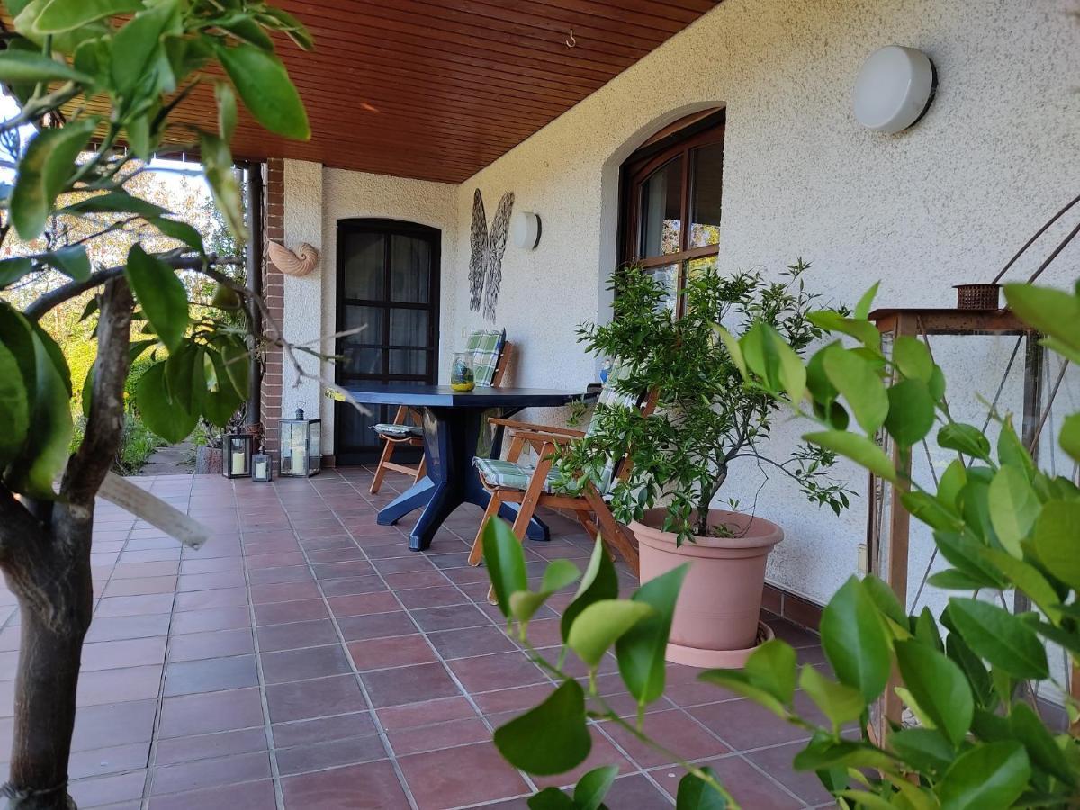 Ferienwohnung Bastian Thalmassing  Exterior photo